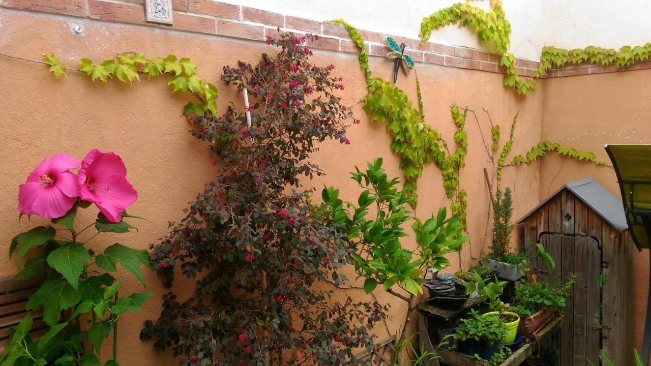 Autan Des Couleurs Bed & Breakfast Albi Bagian luar foto